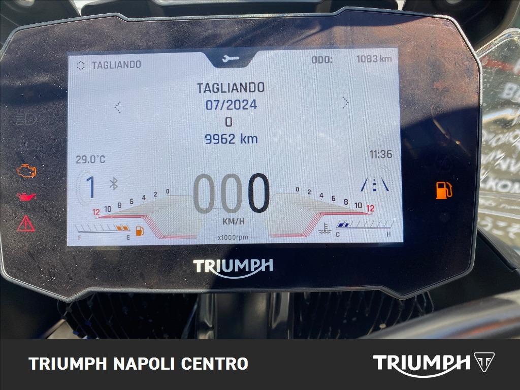 TRIUMPH Tiger 900 GT Pro Abs